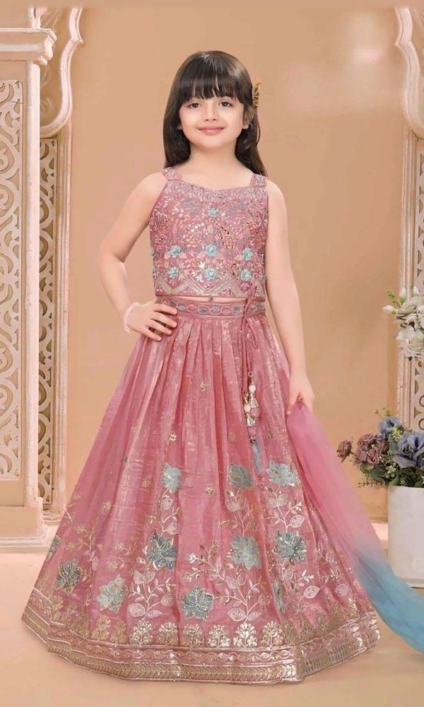 Rose Pink Ombré Lehenga