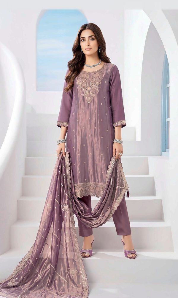 Embroidered Tissue Silk Suit